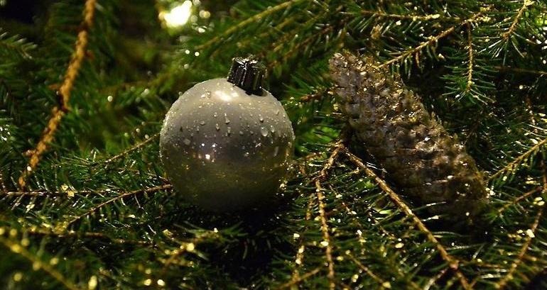 På grenar av granris vilar en grankotte och en silvrig julgranskula. Vattendroppar på julgranskulan gör att ljuset glittrar sig över grenarna.