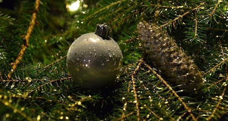 På grenar av granris vilar en grankotte och en silvrig julgranskula. Vattendroppar på julgranskulan gör att ljuset glittrar sig över grenarna. 
